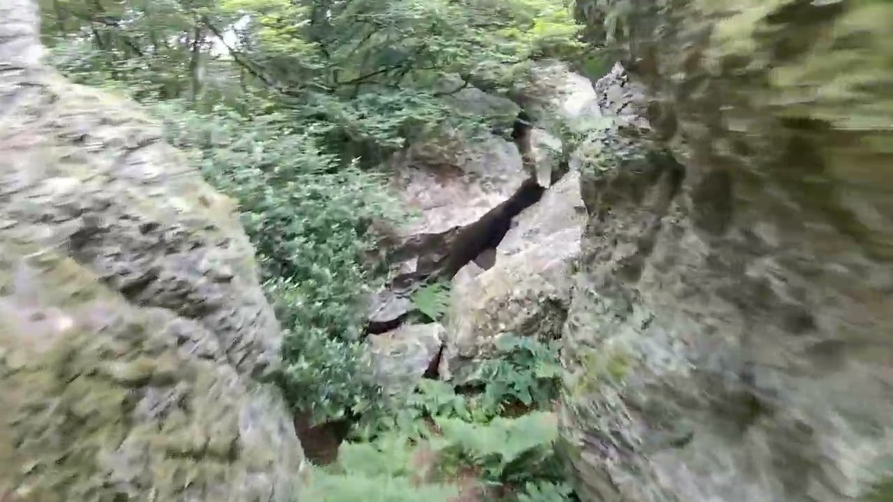 03 - FPV Bois des roches a Rocheville | Cvatar142 Runcam5
