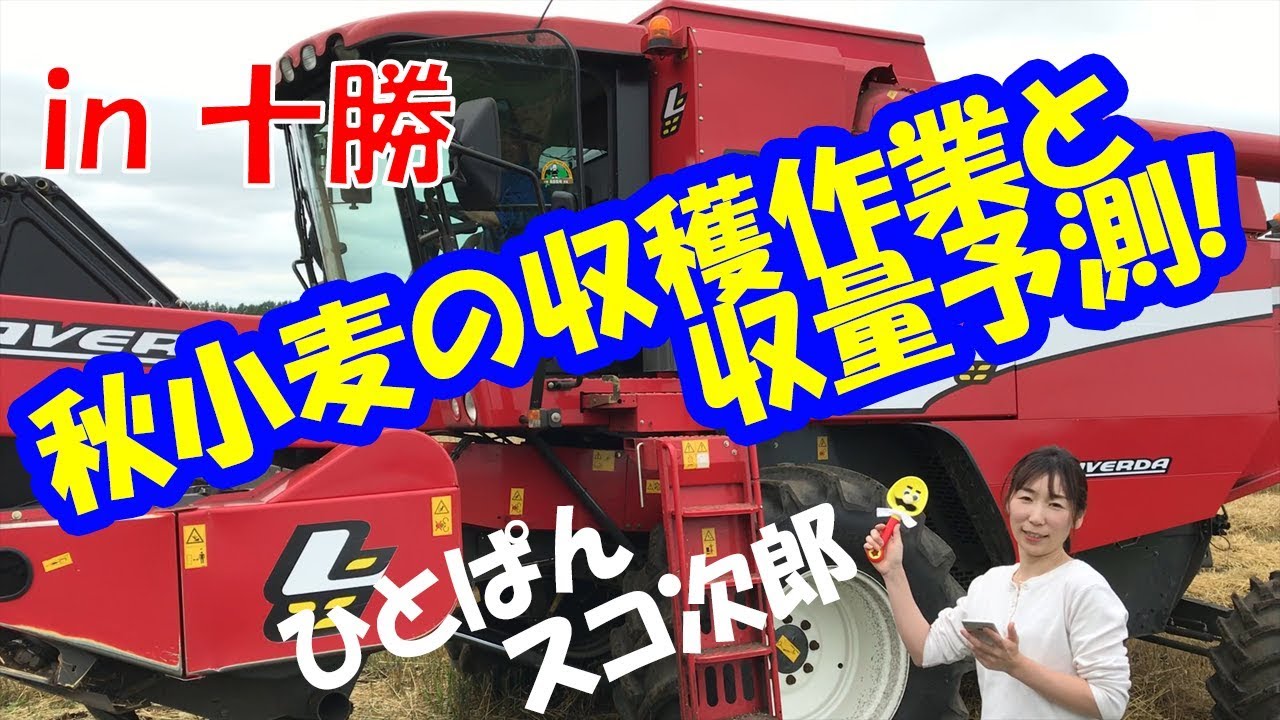 【ひとさんぽ#03】秋小麦の収穫作業と収量予測！【住商アグリビジネス】