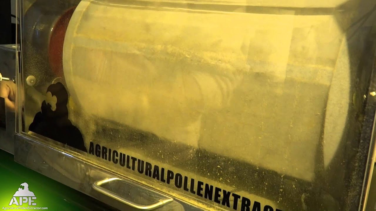 Agricultural Pollen Extractor in Action 2!