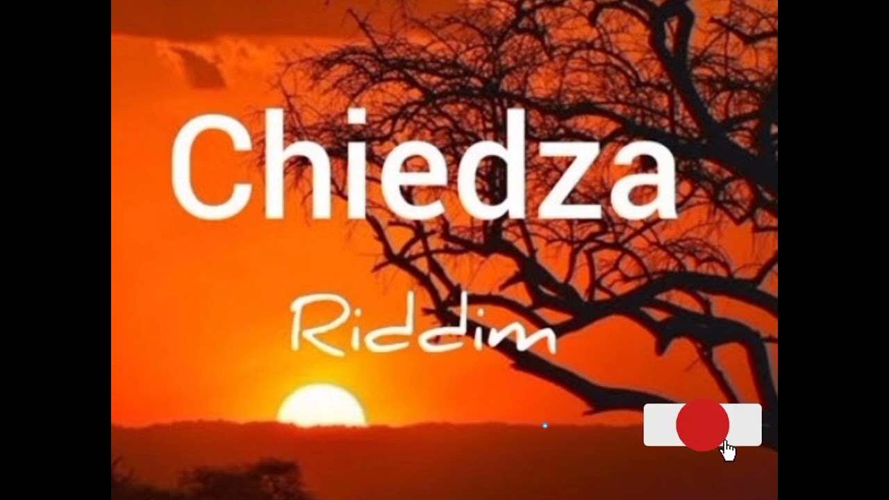 Free Zimdancehall instrumental & Afrobeat type 2026 [ CHIEDZA RIDDIM]. Prod.Baudza Official music 