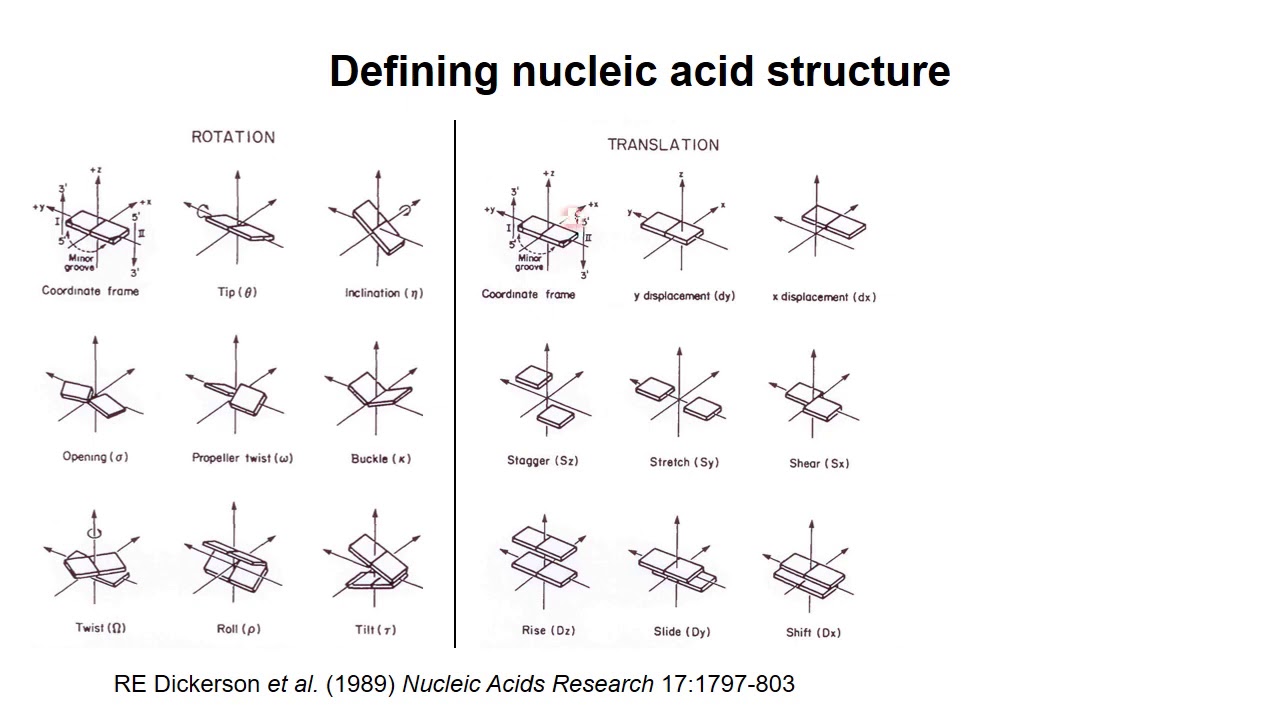 Nucleic Acid Structure 3 – Flexibility of DNA Part 1