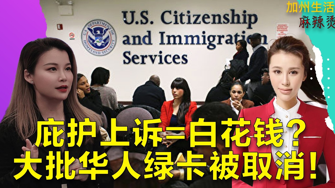 庇护上诉=白花钱？大批华人绿卡被取消！#德远资讯 #美国 #德远 #绿卡 #婚绿 #h1bvisa #eb1 #投资移民 #eb5 #庇护 #政治庇护