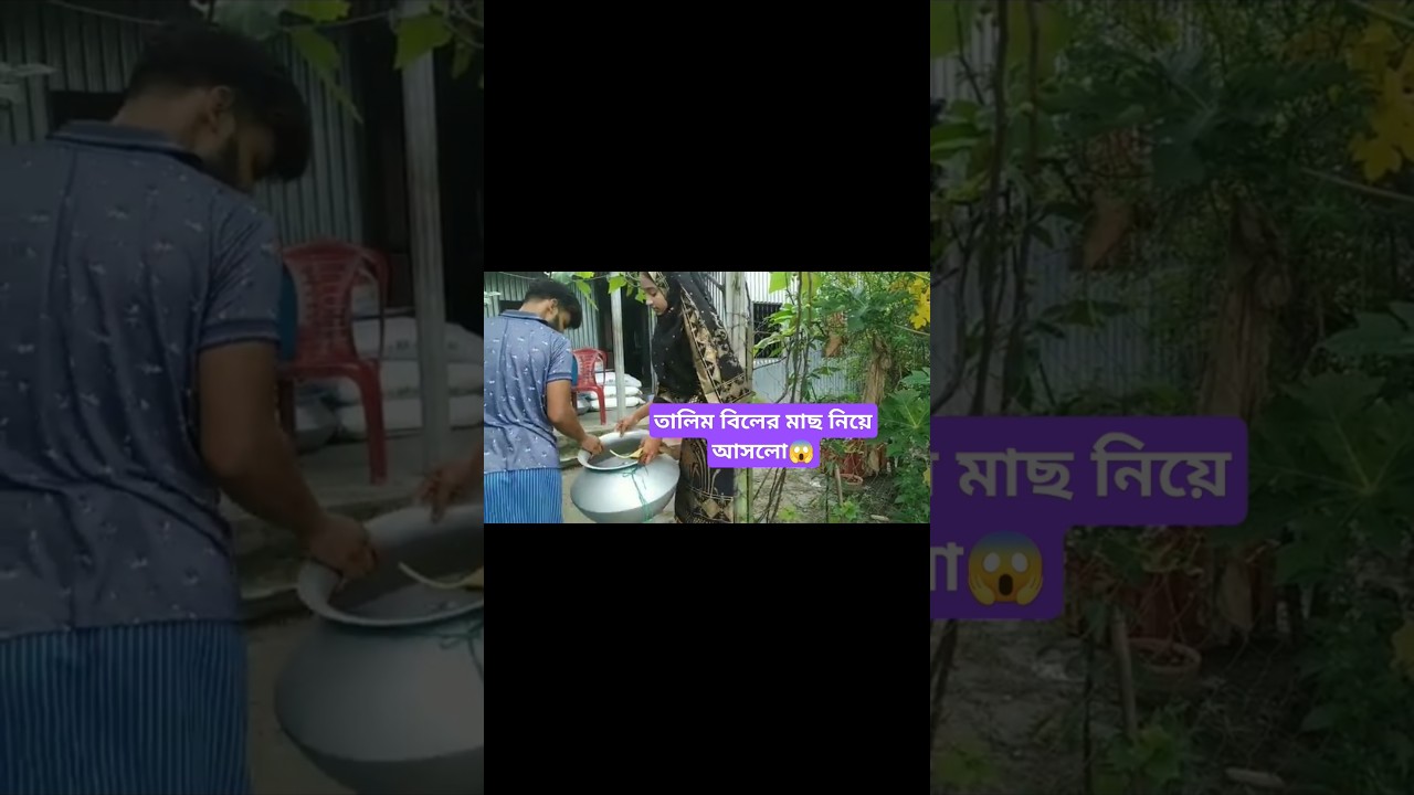 তারা এতো মাছ কুটবে কিভাবে🤔🤔