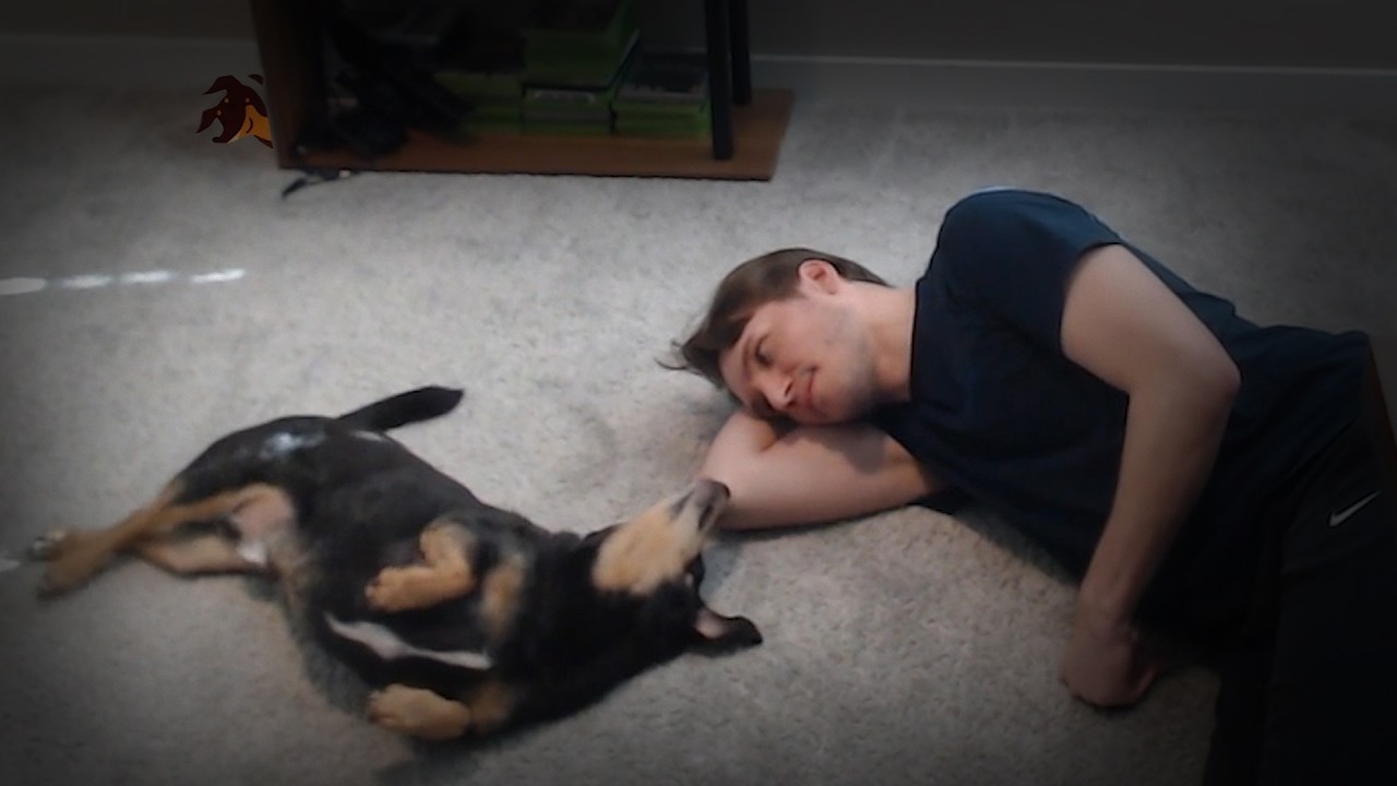story time with jerma 23