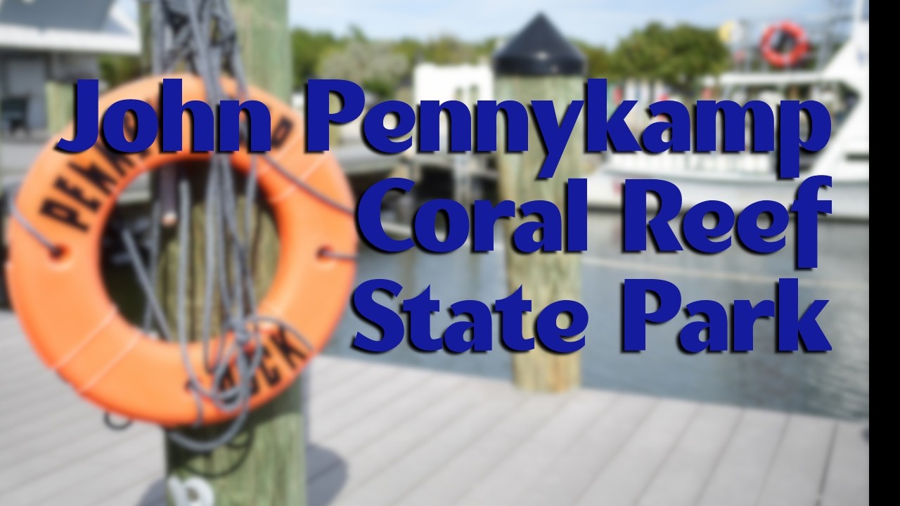 John Pennekamp State Park: Snorkeling Spanish Shipwreck + Florida Keys Camping!