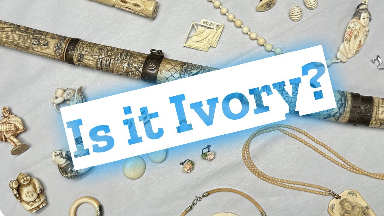 How To Identify Ivory