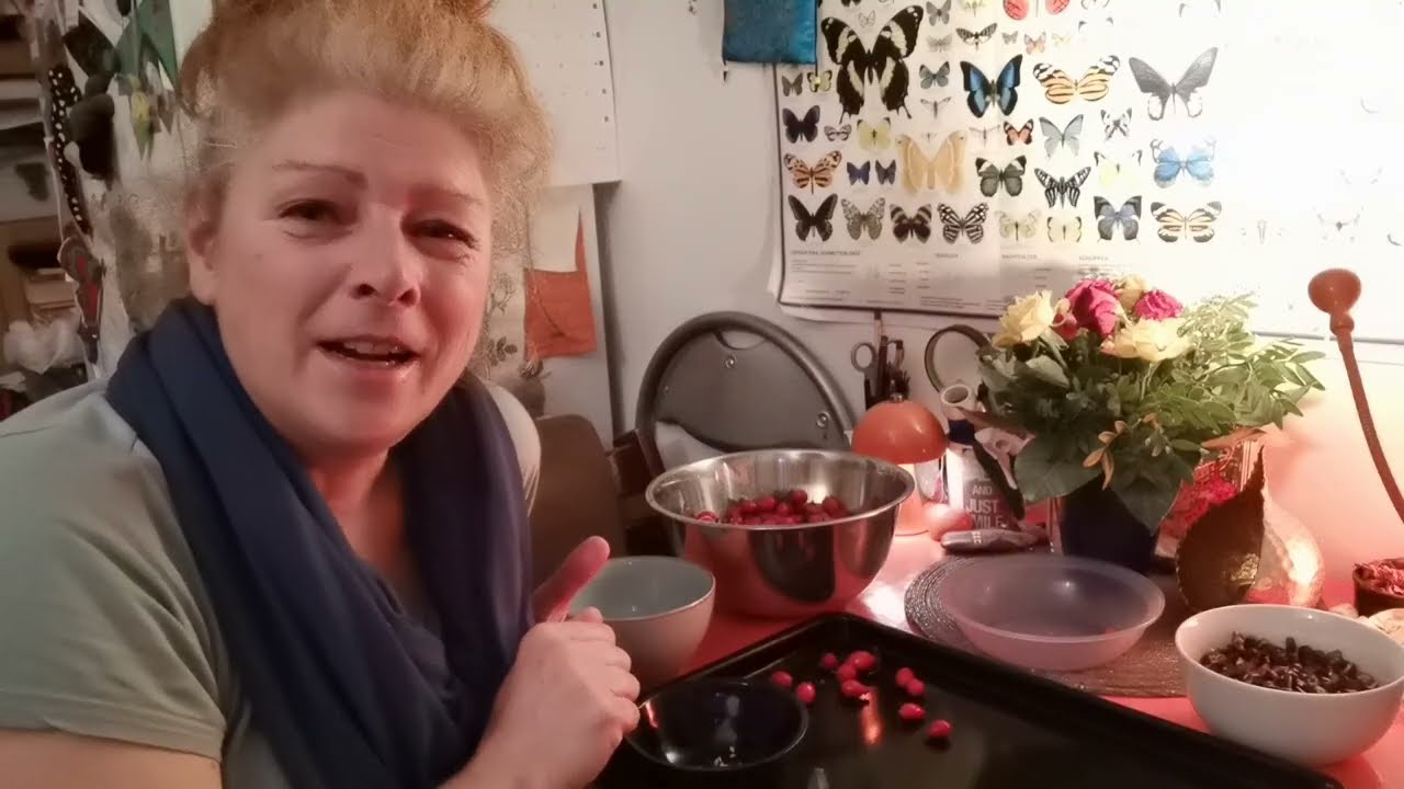 🌱 Auch weniger Saft kann mehr sein - Die Hagebutte in Trockenverarbeitung