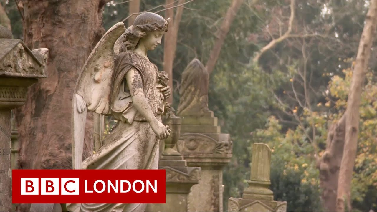 Climate change at Highgate Cemetery