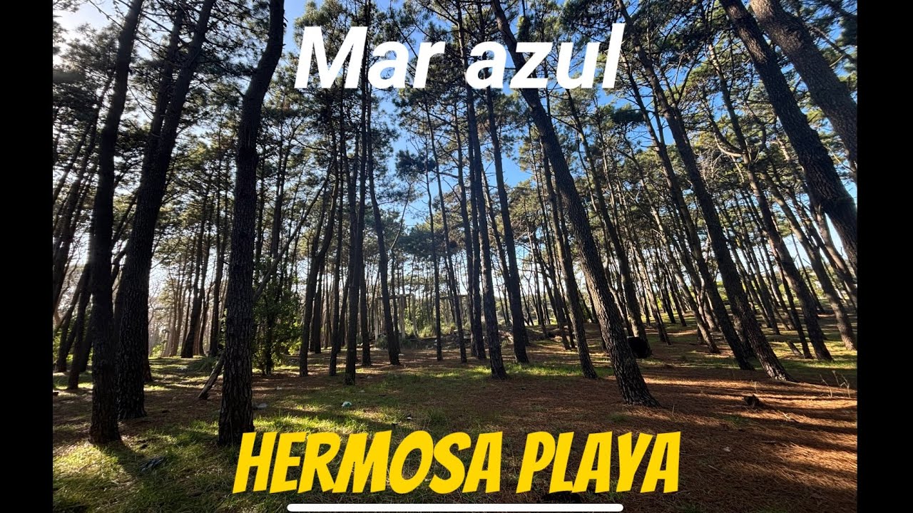 Mar azul:  un homenaje al amor y La Paz en la playa más natural y linda de  la costa argentina 