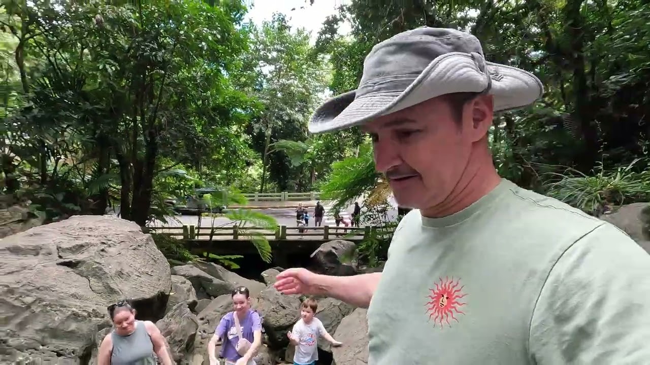Wilsons in Puerto Rico 2026 - Part 2 - El Yunque Forest