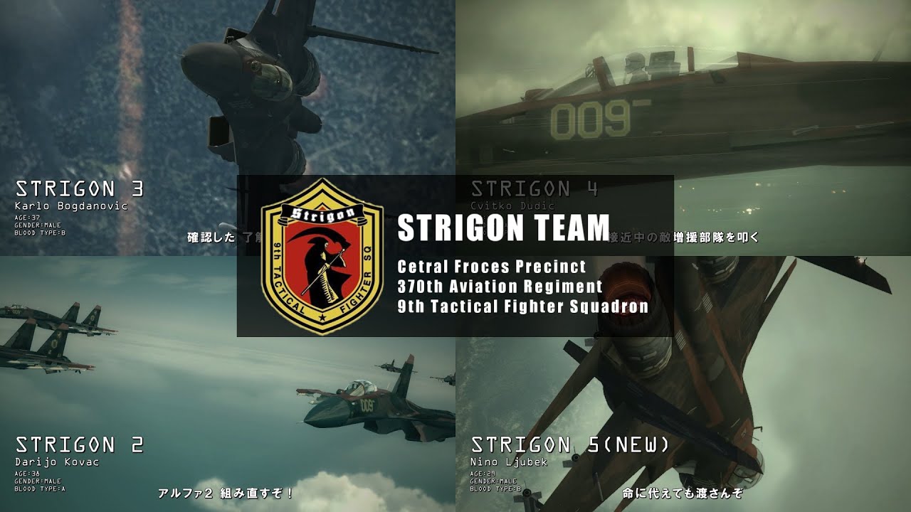 ACE COMBAT 6 Strigon team movie / シュトリゴンチーム ムービー