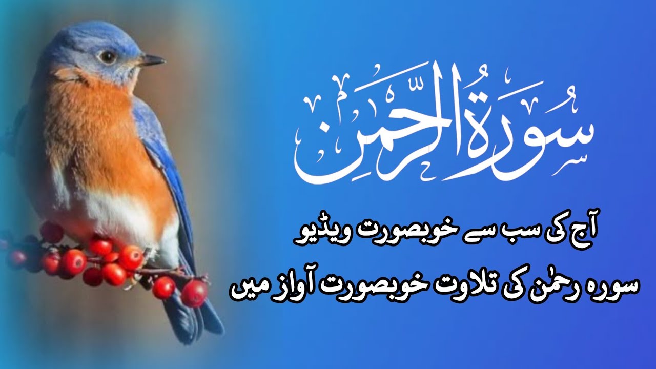 Surah Ar-Rahman | The Most Beautiful Quran Recitation | Heart Touching Tilawat ✨ 