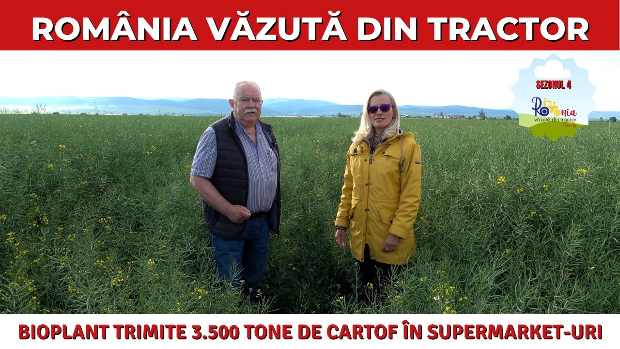 Bioplant trimite 3.500 tone de cartofi în supermarket-uri / România Văzută Din Tractor