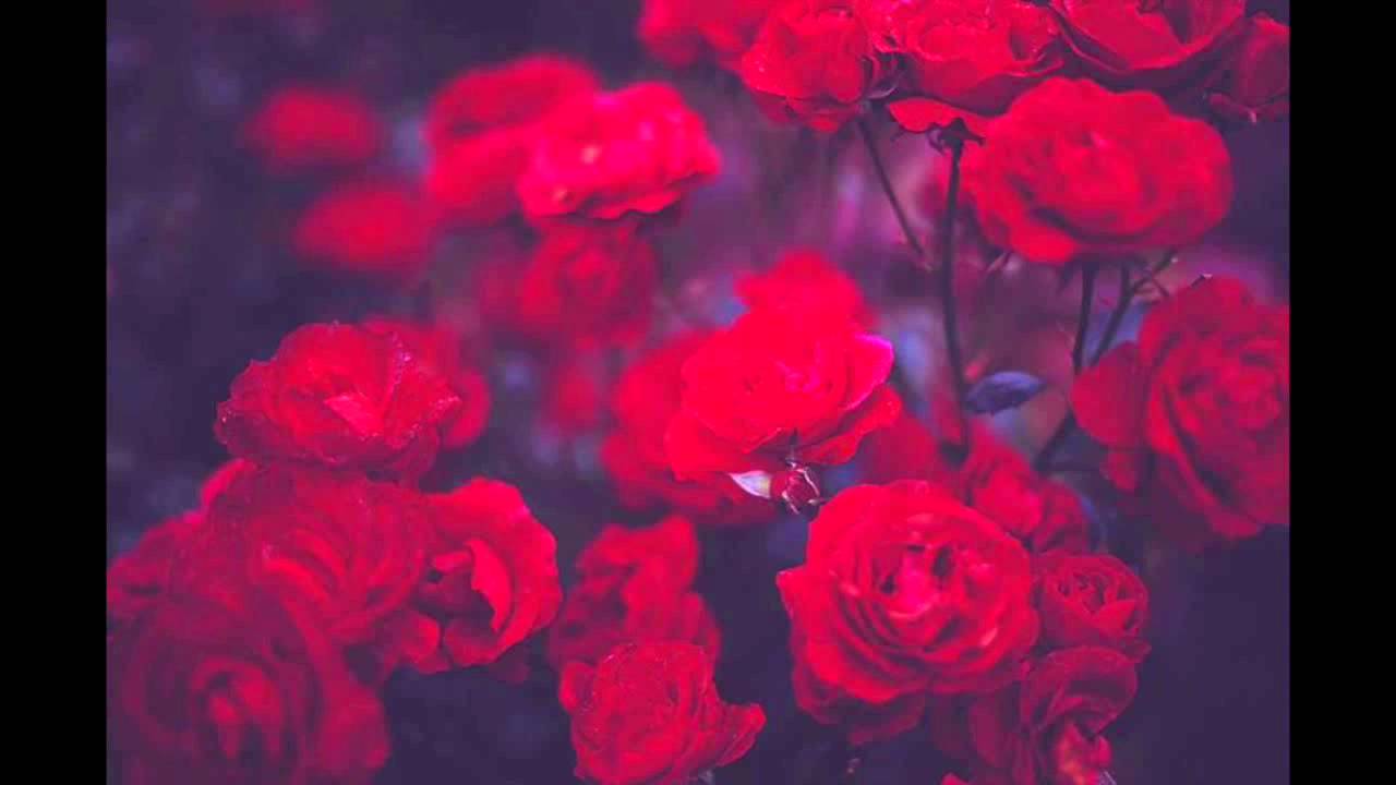 prvrln &ndash; время сжигать мосты