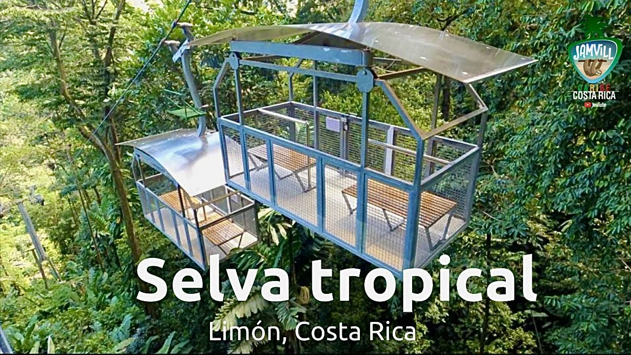 VERAGUA RAINFOREST | Mira un tour que lo tiene todo!... Check out a tour that has it all!!!