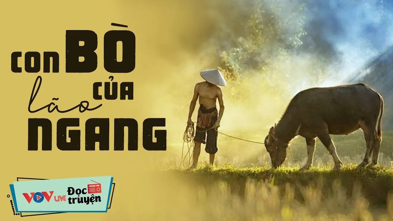 Truyện Đời THẤM THÍA VÔ CÙNG -Con Bò Của Lão Ngang _ Đọc Truyện Đêm Khuya Đài Tiếng Nói Việt Nam VOV