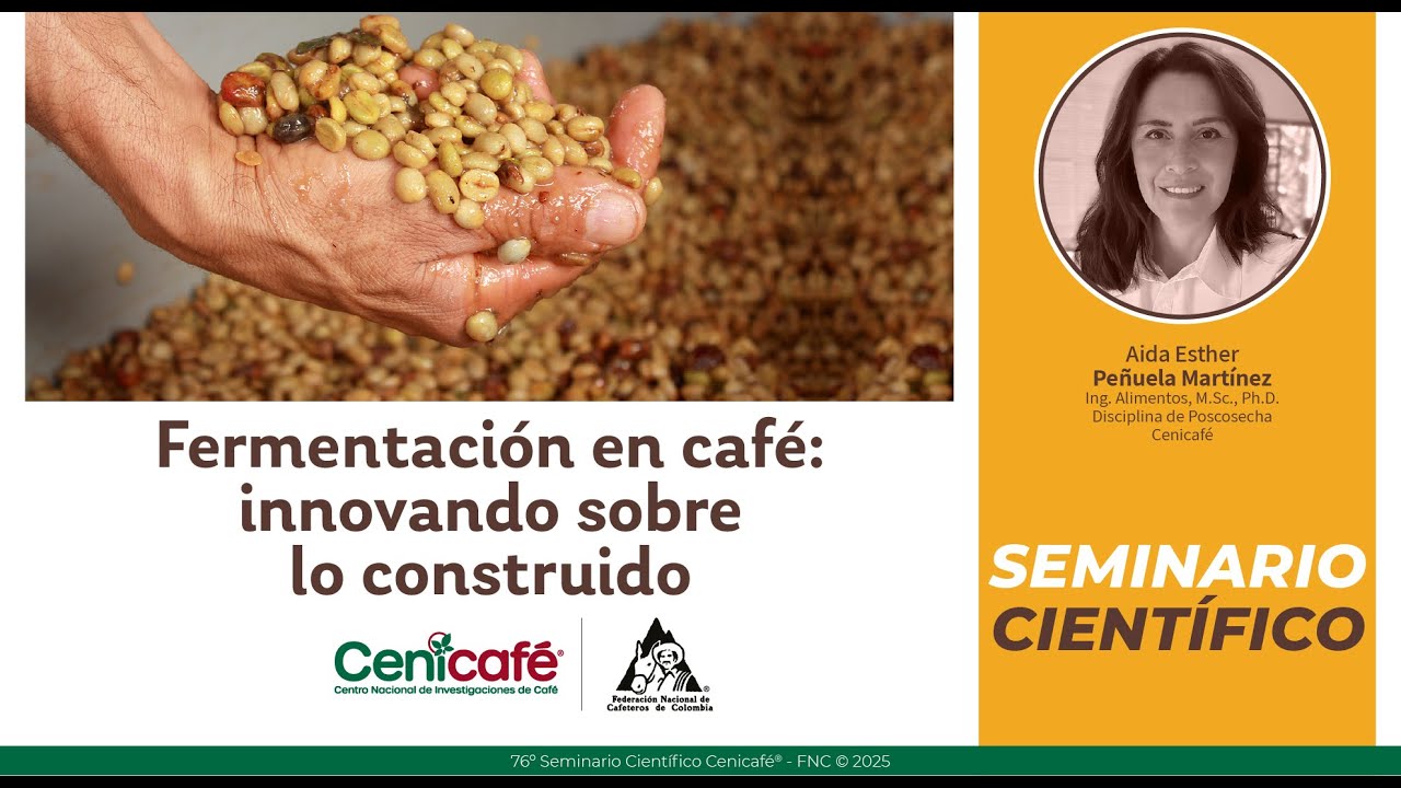 Fermentación en café: innovando sobre lo construido