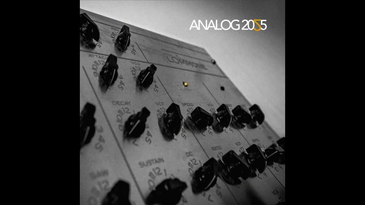 V.A. • ANALOG 2025 [Italy 2025]