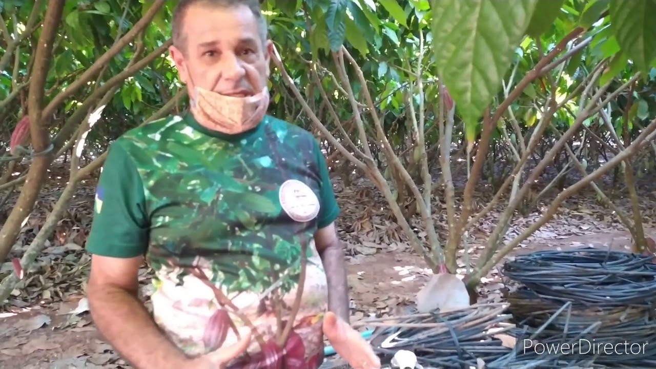 Sistema de irrigação , gotejamento, microjet, bailarina e Irrigas.