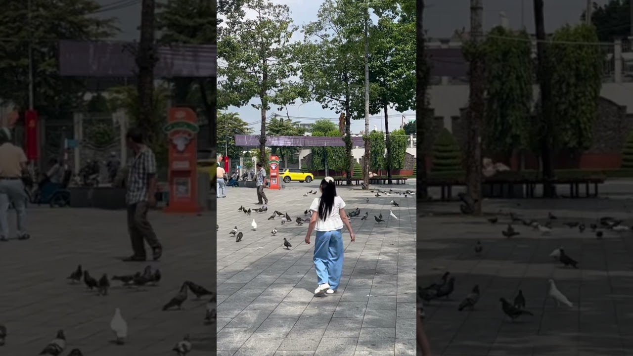 Bồ c&acirc;u đẹp qu&aacute; #cochunho #huyenhre