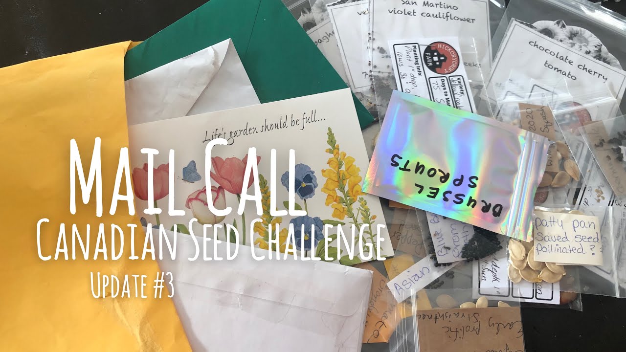 Seed Haul! Canadian Seed Challenge: Update #3