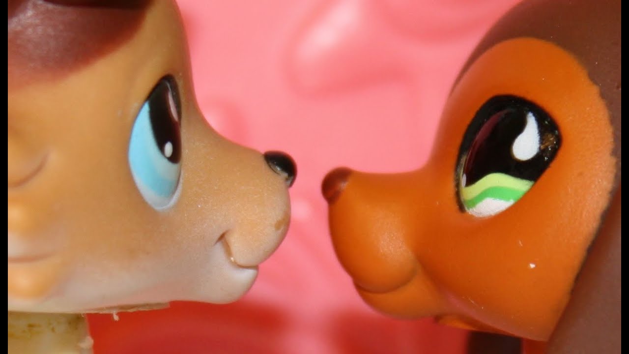 Littlest Pet Shop: Popular (Episode #6: Moments of Reflection)