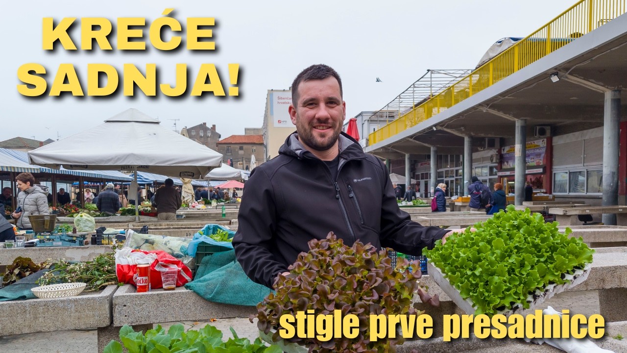 ŠIBENSKI PAZAR #79 – Stigle presadnice, ali narod steže remen.