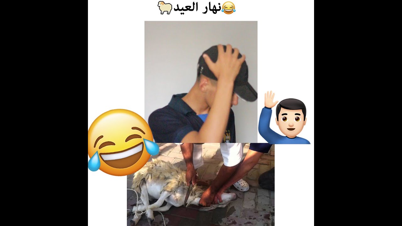 ثاني عيد - عودة النميش