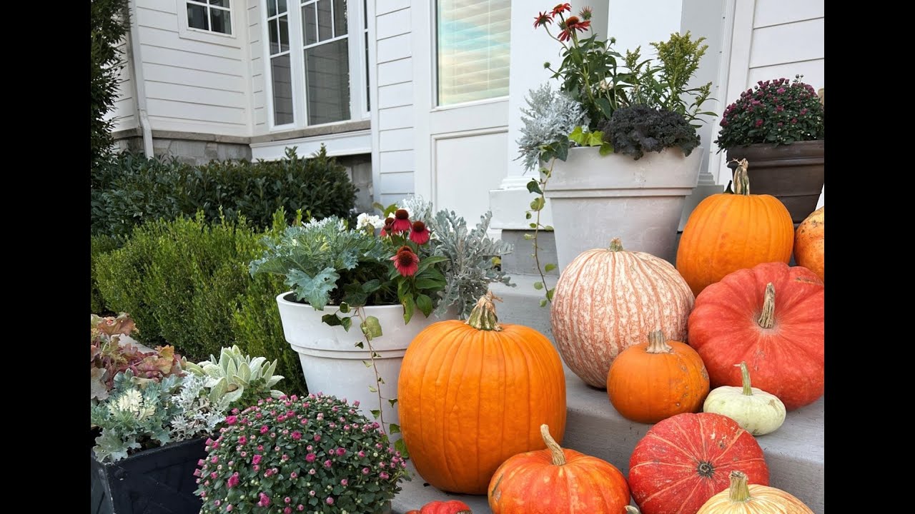 How to Shop the Pumpkin Patch: A designer's secrets for a full fall porch
