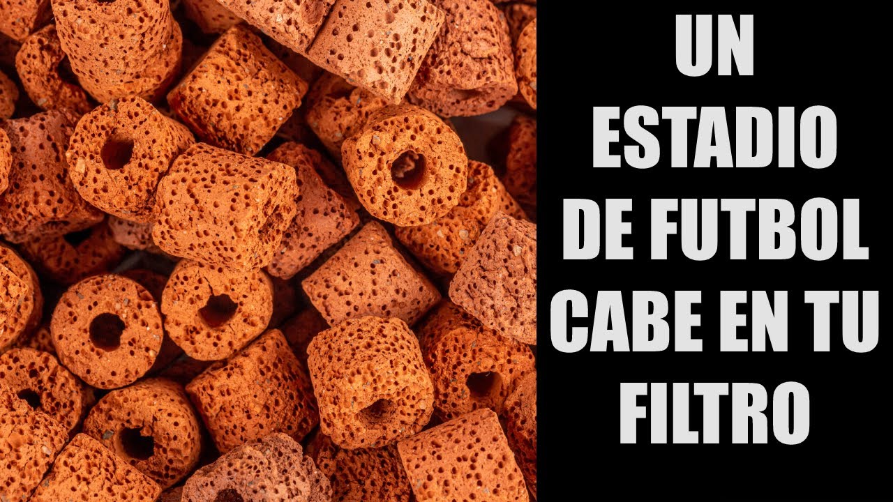 ¿Estás Usando el Material Correcto en tu Filtro Biológico?