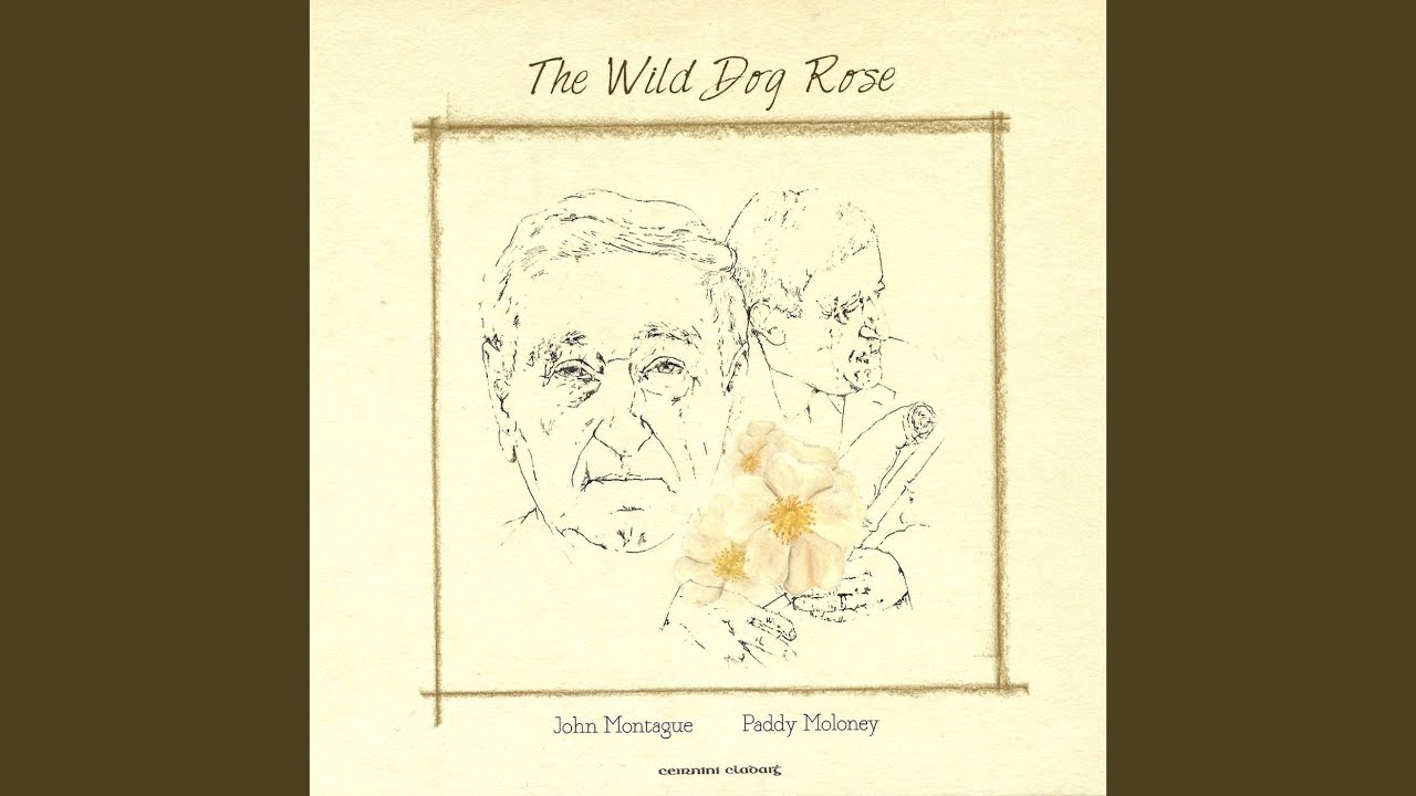 Caoineadh Uí Néill (lament)