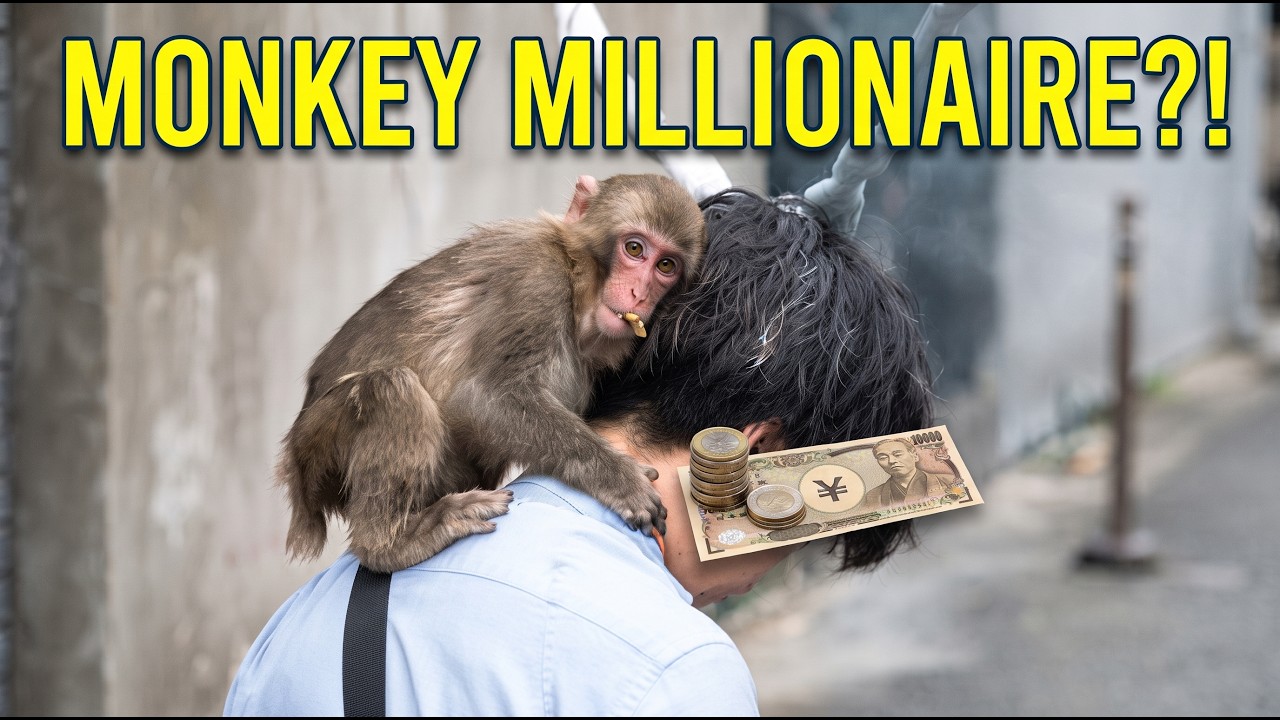 The Monkey Who Made Millions (Without Even Trying)