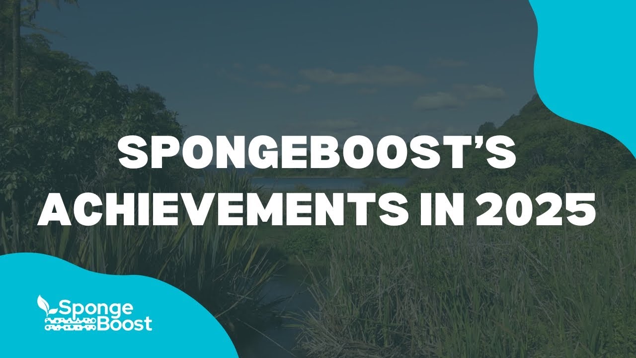 Highlights of SpongeBoost's achievements in 2025