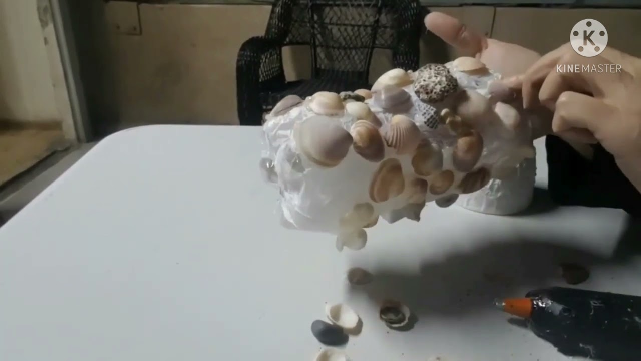 عندك قواقع او صدف شوفي الفكرة