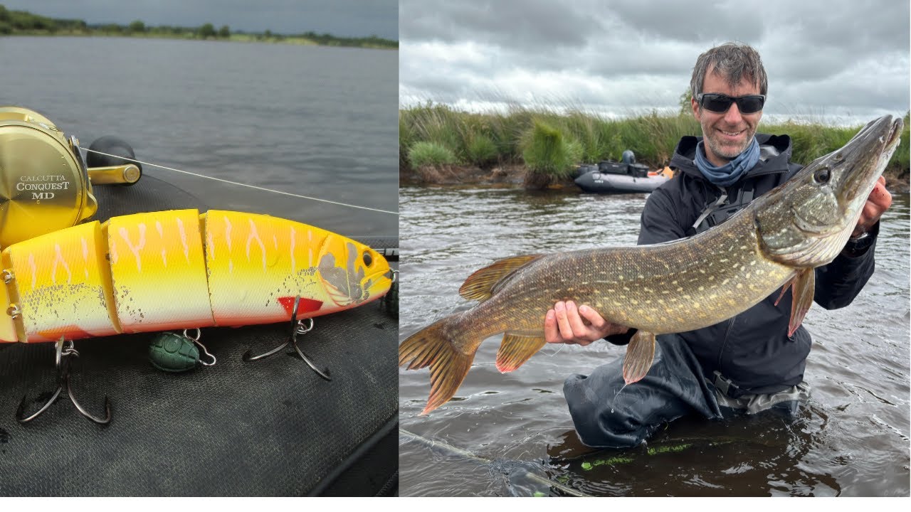 GROS BROCHET SUR LES BORDURES AU BALAM 300 !