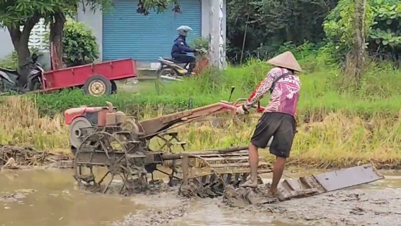 TRAKTOR SAWAH CERBON JEH DENGAN GLEBEK MEMBAJAK TANAH SAMPAI GEMBUR