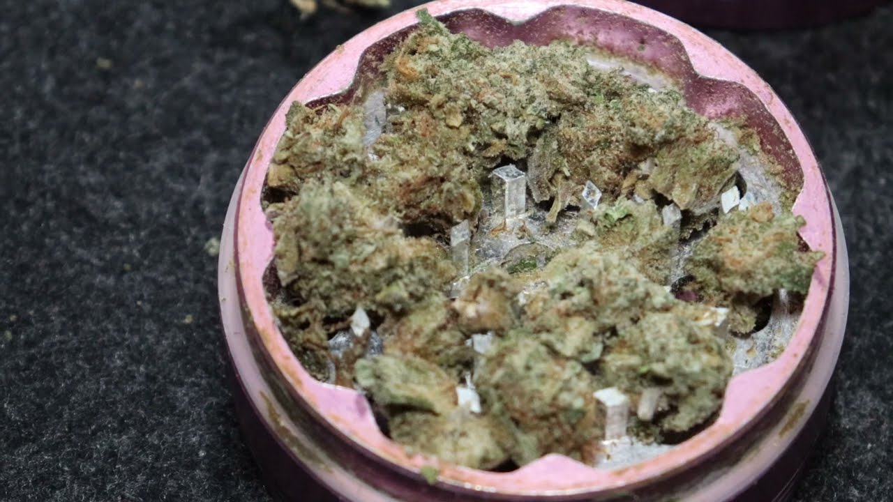 Lemon Haze w/ Blazy Susan & Riptip