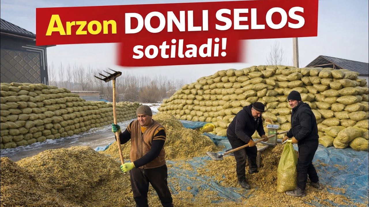 CHORVALAR UCHUN ARZON DONLI SELOS SOTILADI. DASTAVKA KELISHILADI
