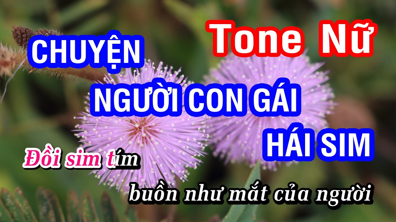 Karaoke Chuyện Người Con Gái Hái Sim Tone Nữ | Trạng Lê | Nhan KTV