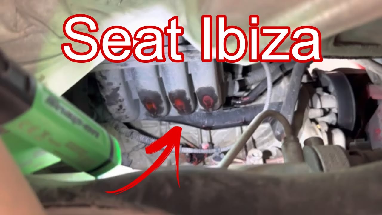 Fuga Anticongelante Seat Ibiza