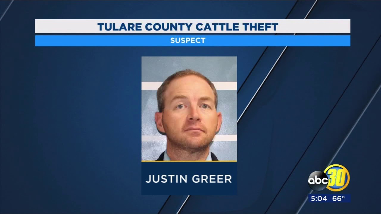 Tulare County Sheriff's Office announces major cattle theft arrest that amounts to $1.5M in losses