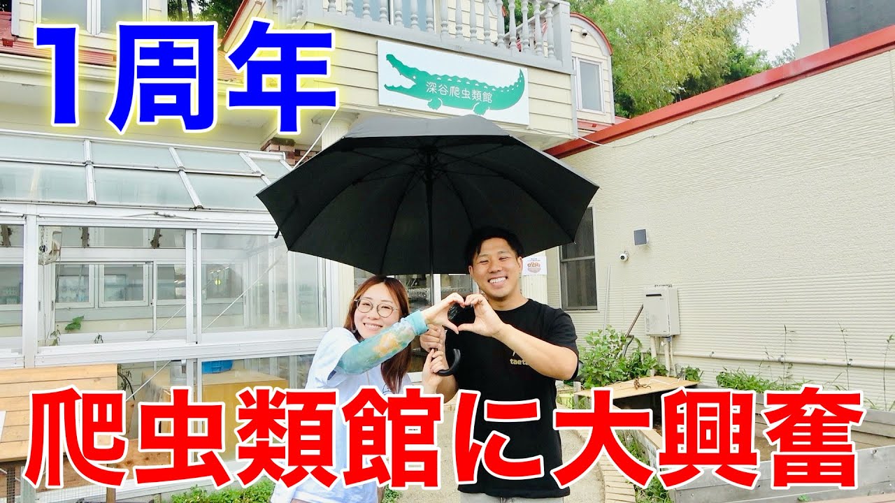 深谷爬虫類館に訪れたら鰐さんの生き物愛に溢れる施設で大はしゃぎ