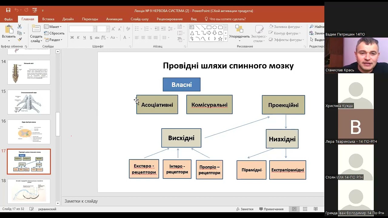 Провідні шляхи спинного мозку