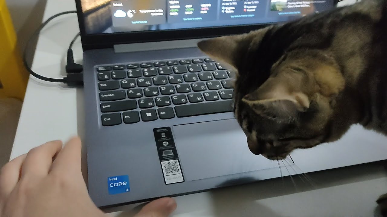 КАК Я НЕ ПОЛУЧИЛ 10 ЛВЛ ФЕЙСИТ НА 60 FPS/Hz | ЖИЗНЬ ПОСЛЕ МОЩНОГО PC
