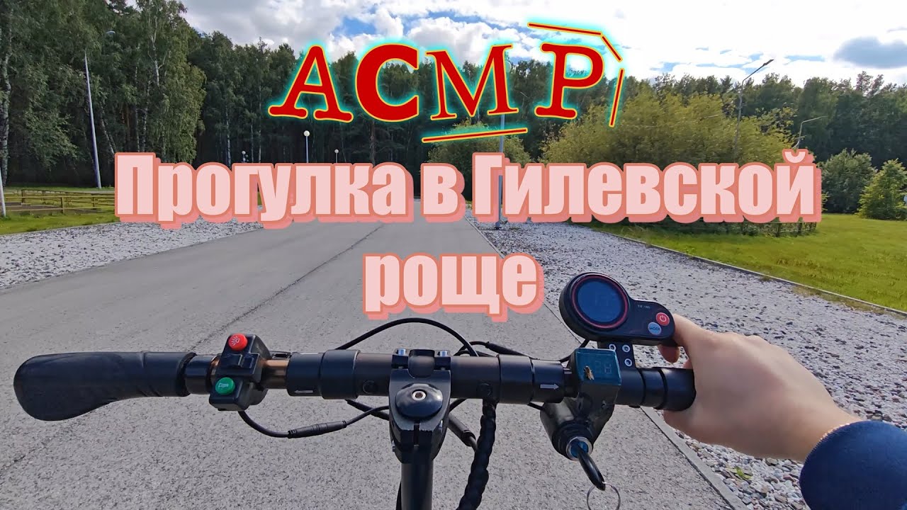 АСМР Прогулка в Гилевской роще от 1 лица