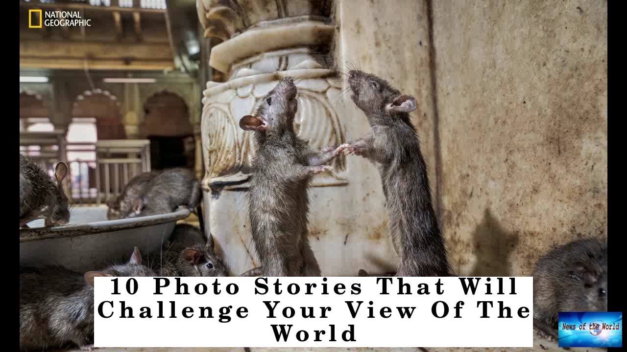 10 Photo Stories That Will Challenge Your View Of The World