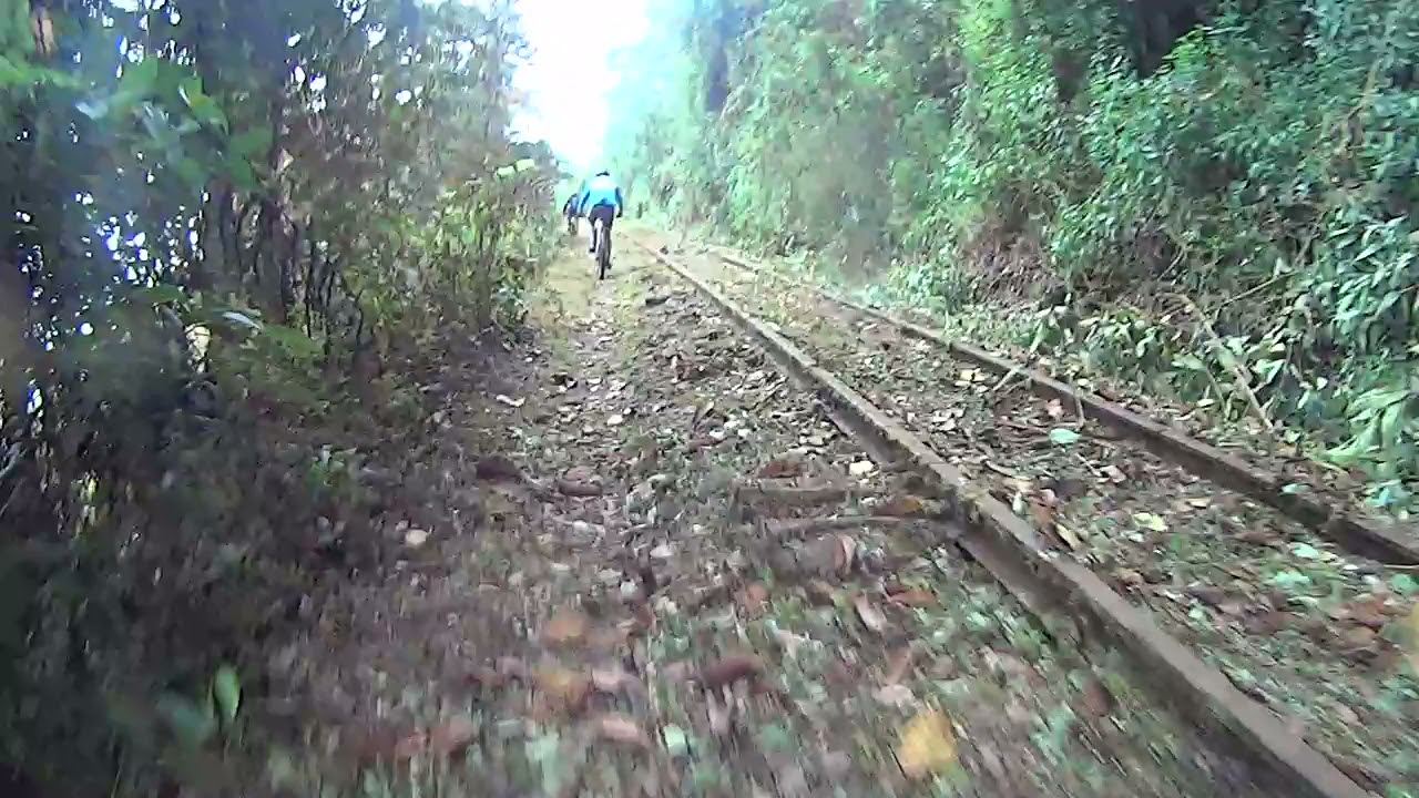 camino al tunel zipacon