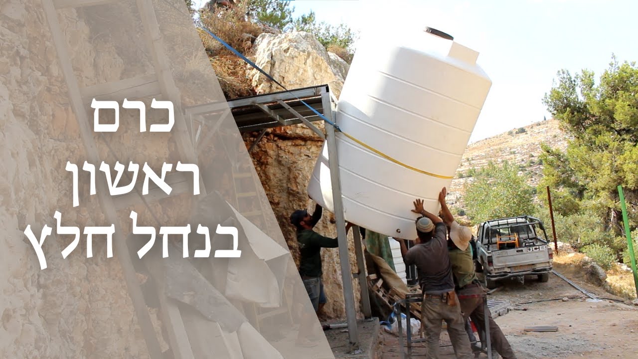 הקמת כרם ראשון בנחל חלץ