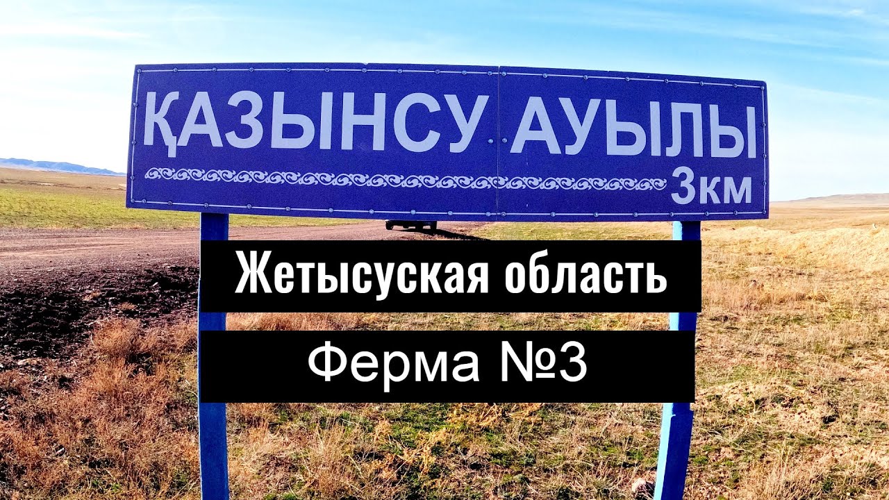 Ферма 3 Казансу | Казынсу ауылы, Кербулакский район, Жетісу облысы, 2023 год.
