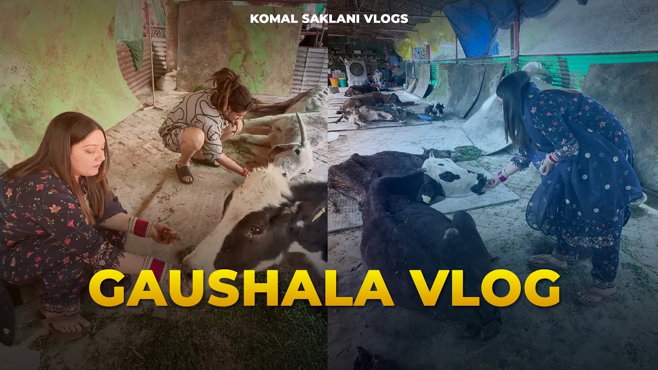 गौशाला Jake pede khilaye Gau mata ko || Komal Saklani vlog